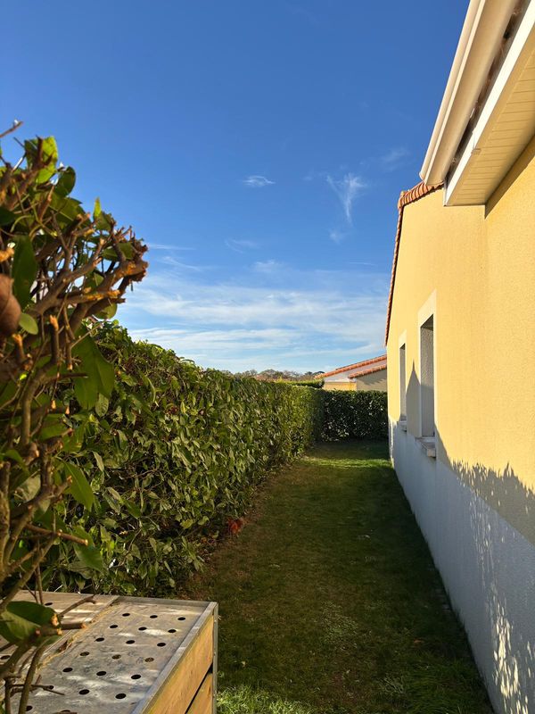 Haie taillée bordant une étroite bande de pelouse le long d'une maison