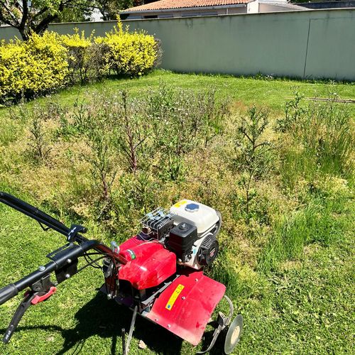 Motoculteur thermique posé devant une parcelle envahie d'herbes hautes, avant travail du sol