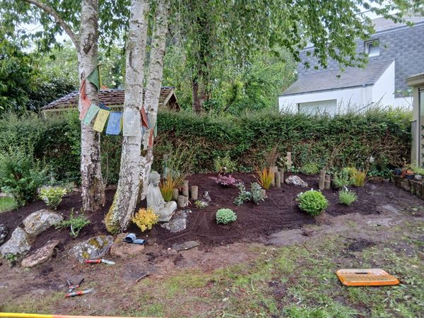 Massif fraîchement planté au pied de bouleaux, terre travaillée avant paillage