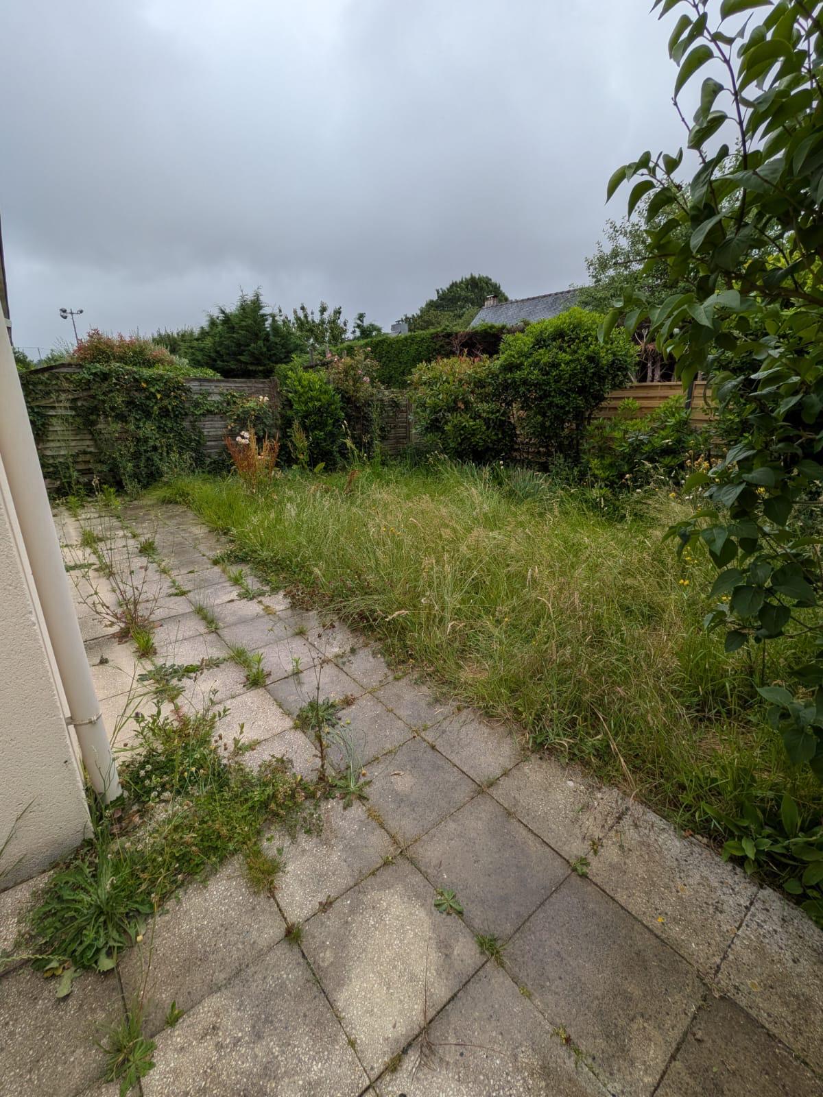 Pelouse à Nantes avant la tonte